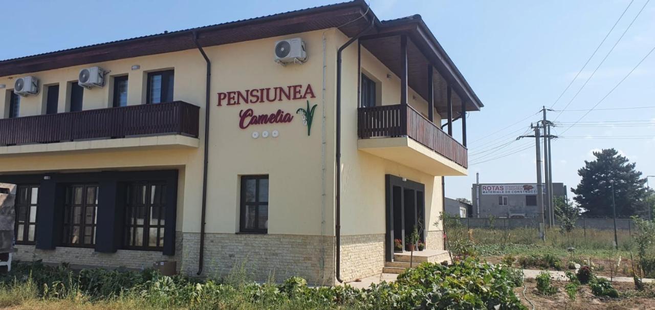 Pensiunea Camelia Baia Exterior photo